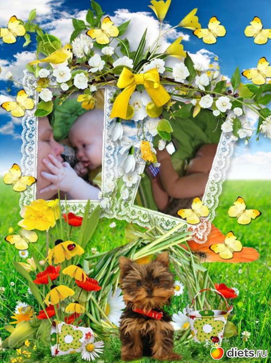 11 фото: 4 лапочки дочки и 1 супер сыночек