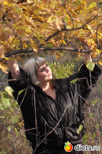 2 ����: ��