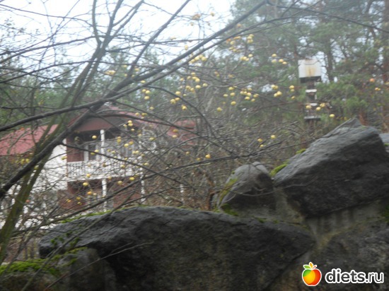 15 фото: Антанас Чеснулис и его работы