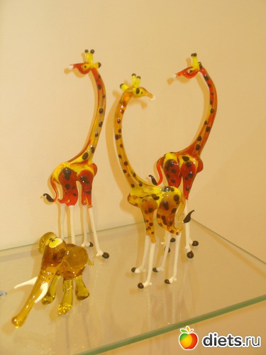 12 ����: 30 -����� �������