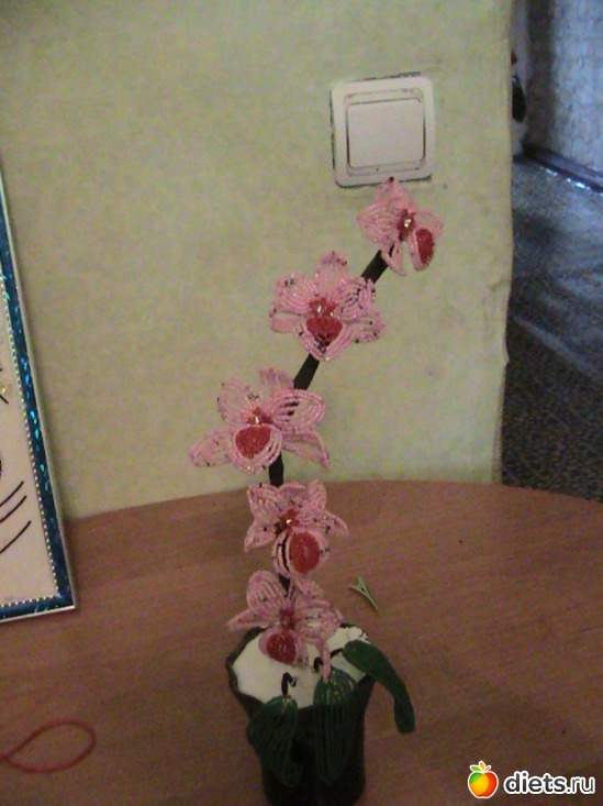 5 ����: ��� ����������