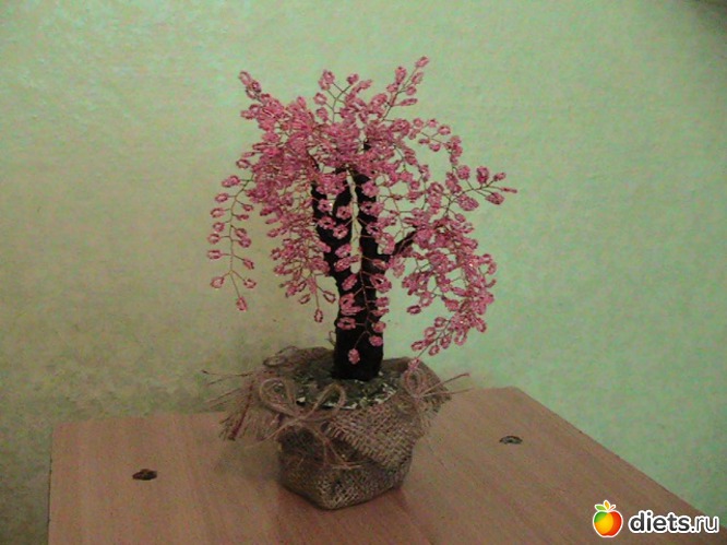 6 ����: ��� ����������