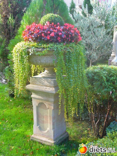 14 фото: 30 -летие Свадьбы