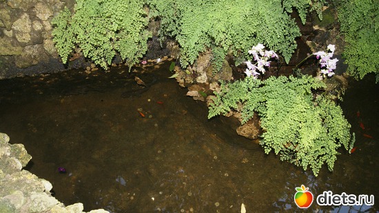 21 ����: �������