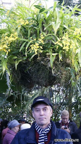 30 ����: �������