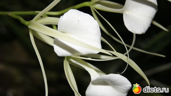 47 ����: �������