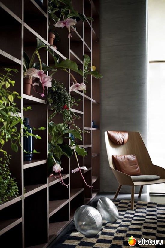 376 ����: ���������