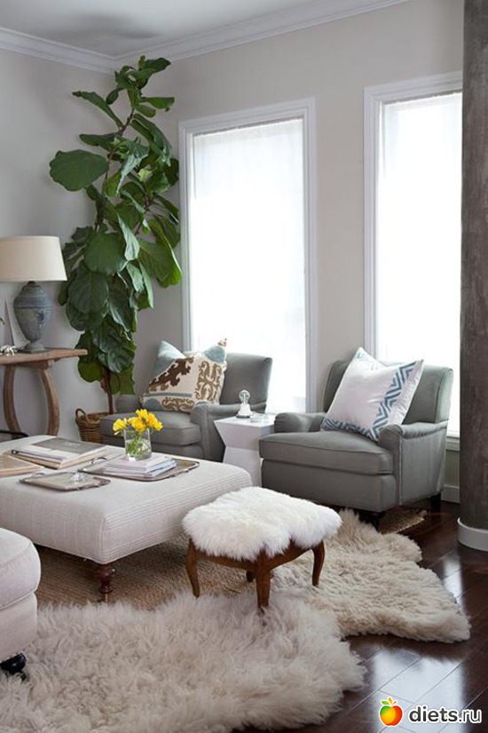 385 ����: ���������