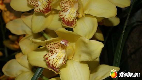 4 ����: �������