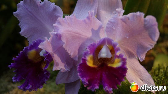 7 ����: �������