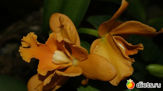 9 ����: �������