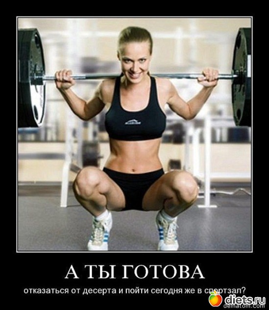 237 ����: ���������