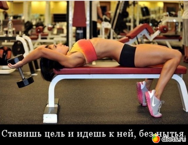 240 ����: ���������