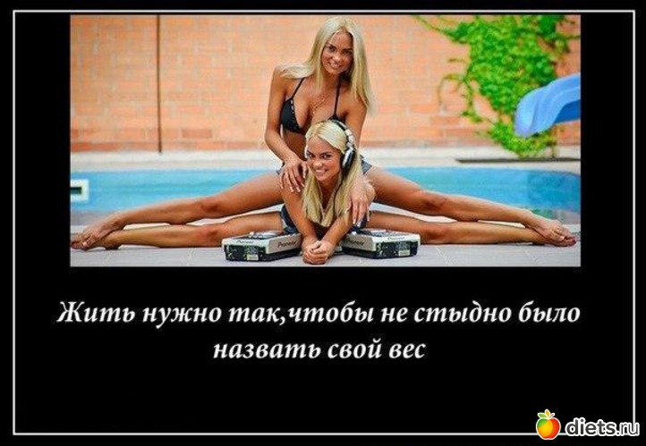 242 ����: ���������