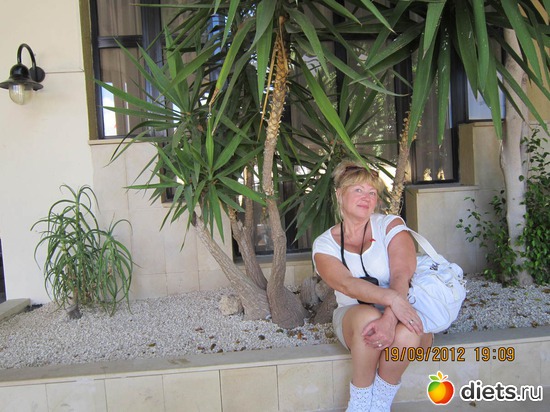 1 ����: �� �����