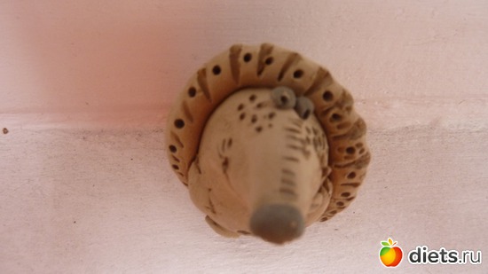 5 фото: Ежики