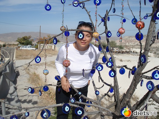 39 ����: ���������