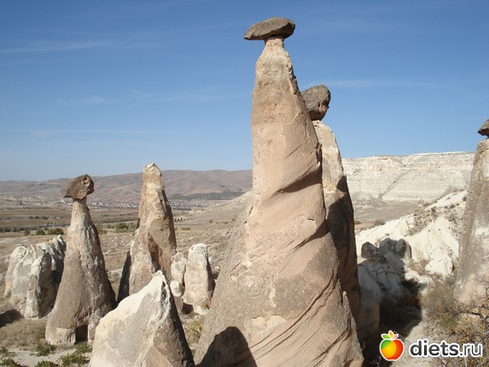 40 ����: ���������