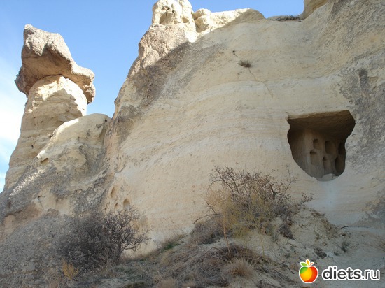 41 ����: ���������