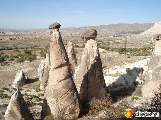 43 ����: ���������