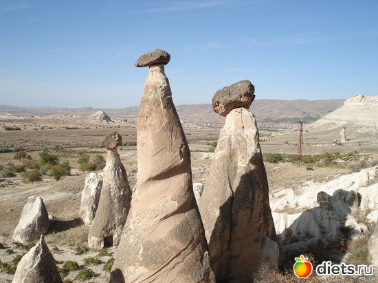 44 ����: ���������