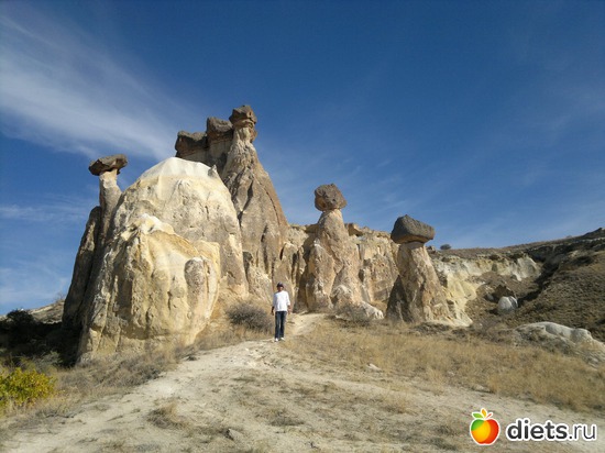 8 ����: ���������