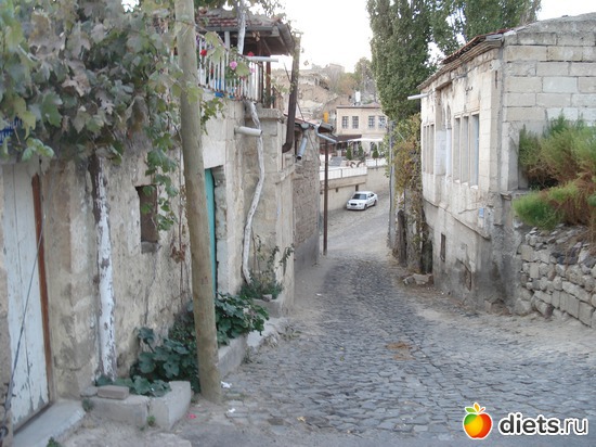 54 ����: ���������