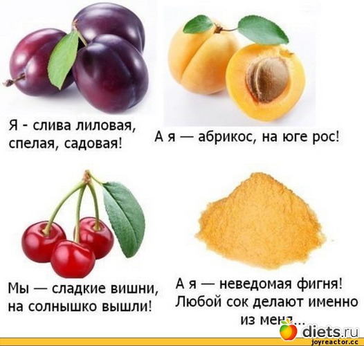 31 ����: ��� ������