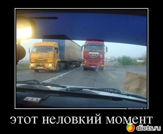 33 ����: ��� ������