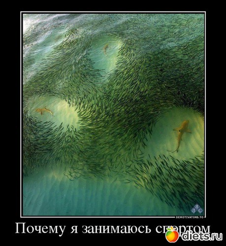 36 ����: ��� ������