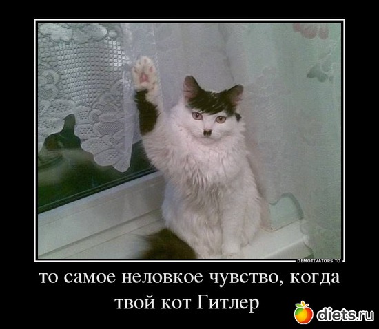 37 ����: ��� ������