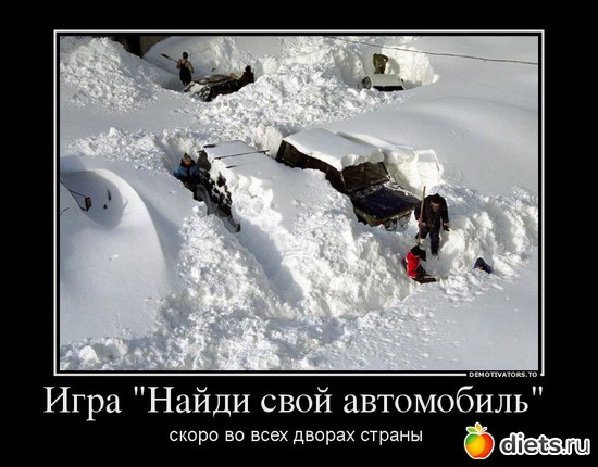 41 ����: ��� ������