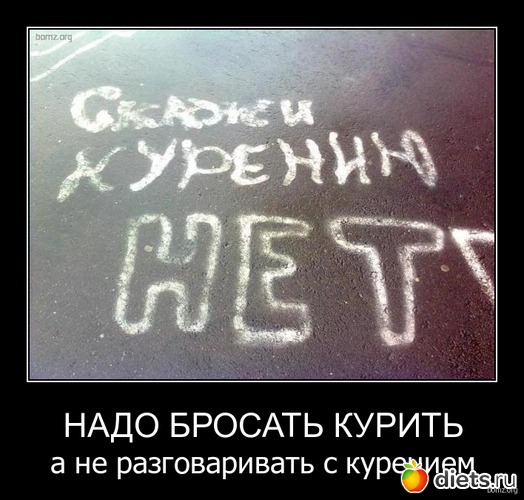 49 ����: ��� ������