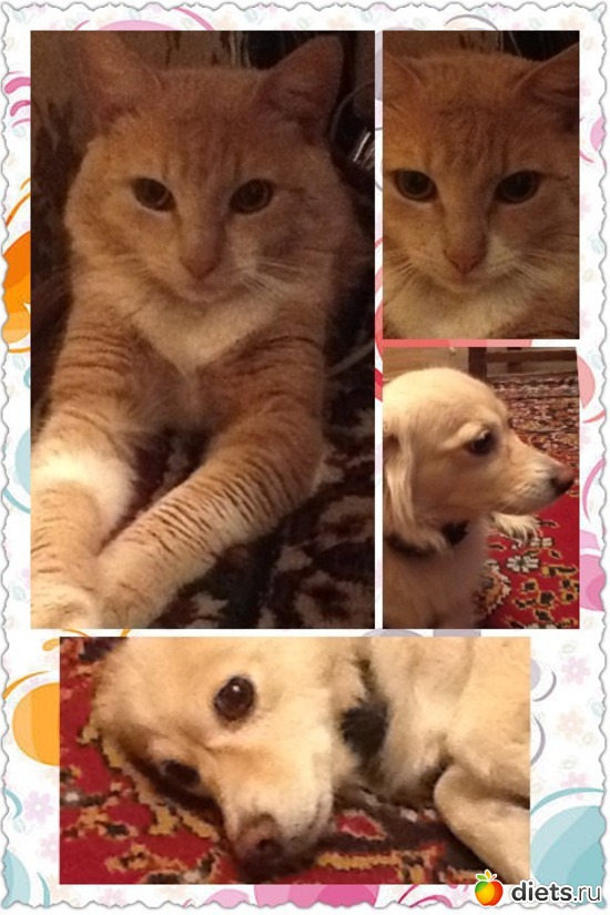 1 ����: �����������-�������