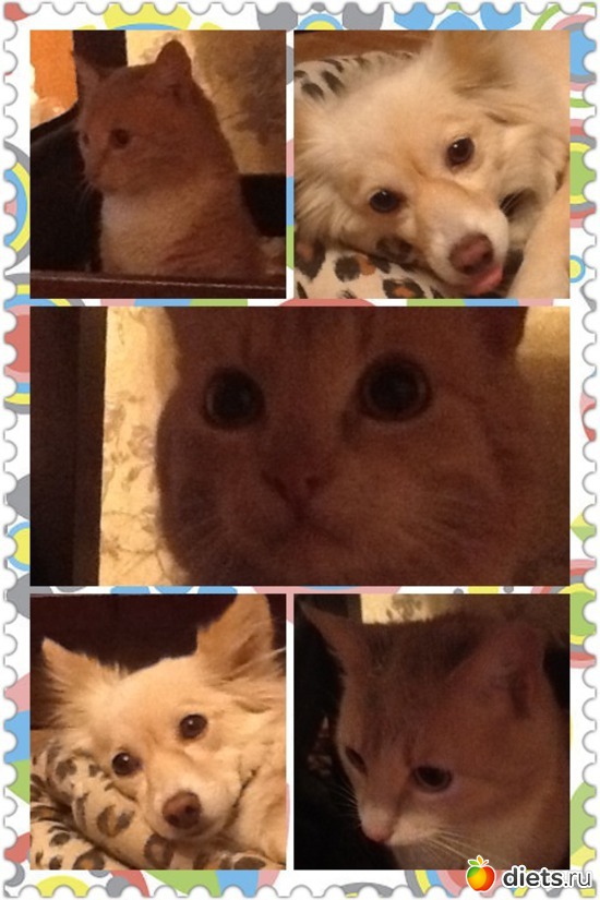 2 ����: �����������-�������