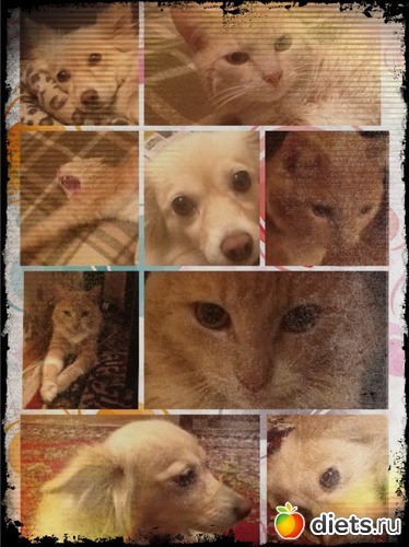 3 ����: �����������-�������