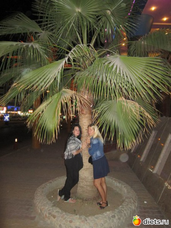 5 ����: ���������