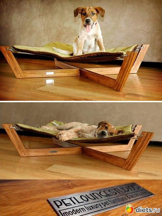 376 фото: Креатив