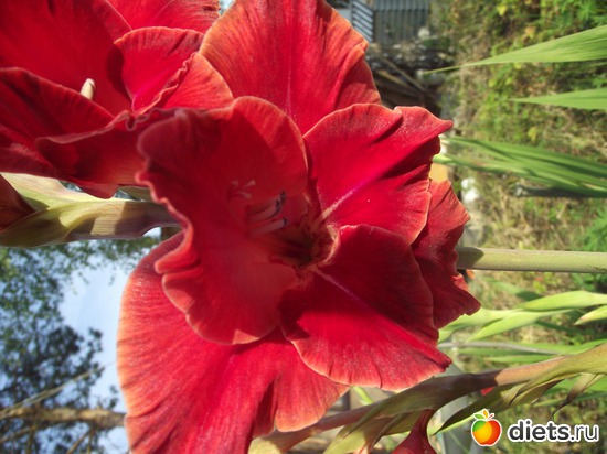 6 ����: ������ ��������