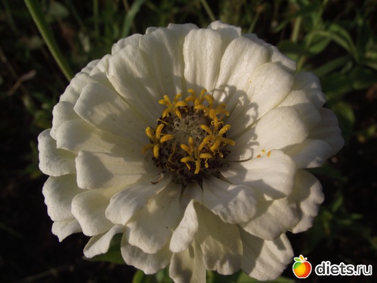 8 ����: ������ ��������