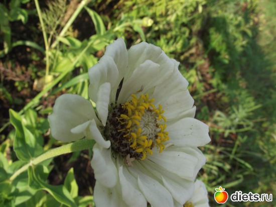 9 ����: ������ ��������