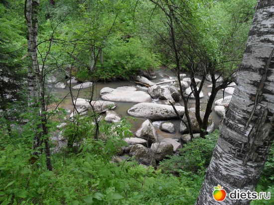 Речка Белокуриха, альбом: Мои фото о природе в разное время года.