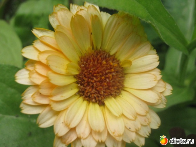 1 ����: ������ �������