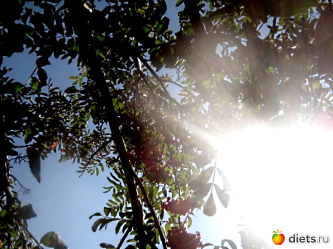 3 ����: ������ �������