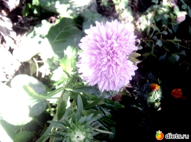 4 ����: ������ �������