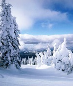 ����� ��� ��� �����