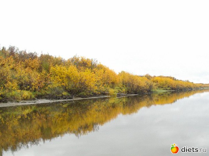 2 фото: Моя малая родина