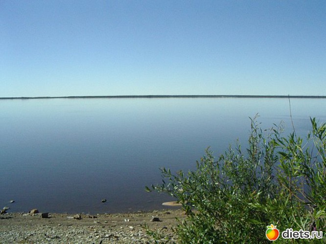 3 ����: ��� ����� ������