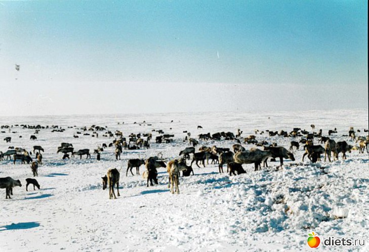 4 ����: ��� ����� ������