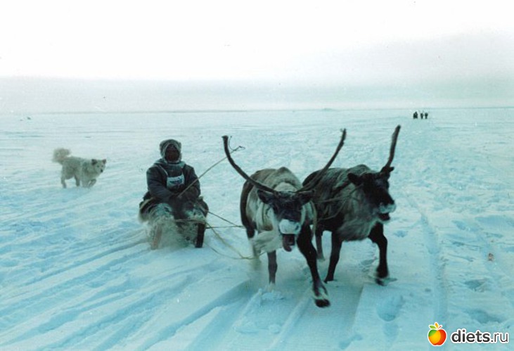 6 ����: ��� ����� ������